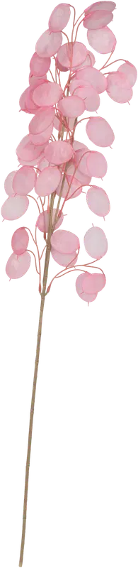 NNX 人造枝条 尤加利 粉色 30 cm