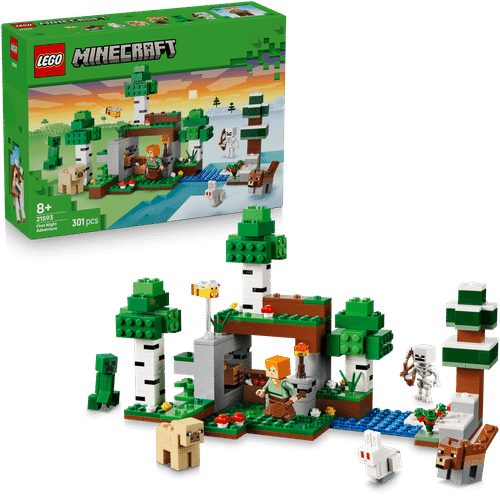 LEGO Minecraft 乐高®我的世界 21593 第一夜冒险