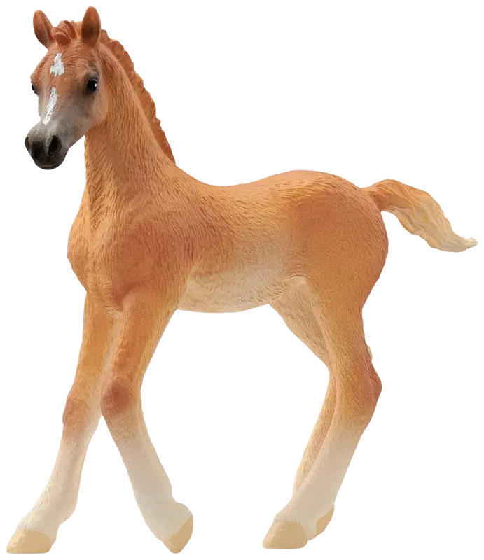 Schleich 阿拉伯马驹|schleich® Arabianhevosvarsa