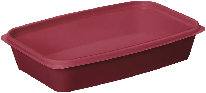 Smartstore ™ Easy 午餐盒 1,2 L