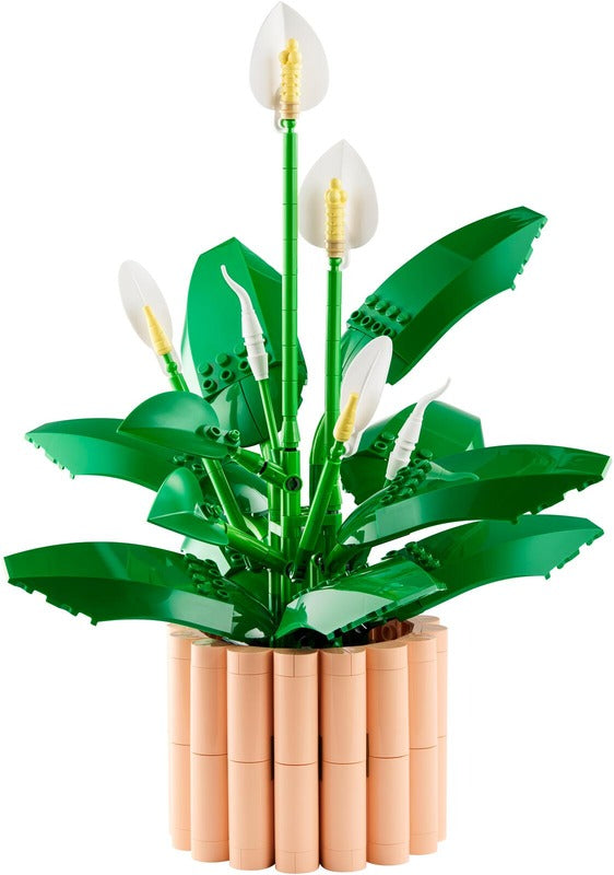 LEGO 绿萝|LEGO® Botanicals 11504 Viirivehka