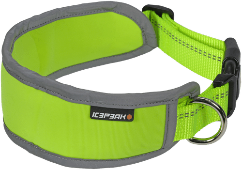 Icepeak Pet 发带 Highlight L 荧光黄