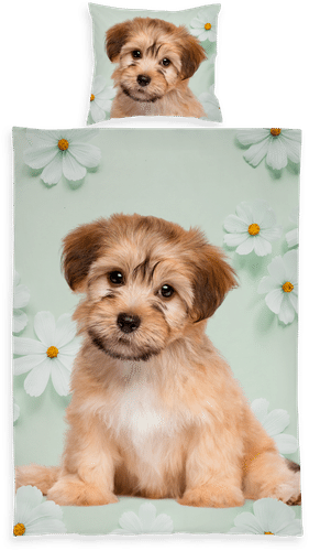 Ciraf 儿童被套套装 Doggy 150x210+50x60厘米|Lasten pussilakanasetti Doggy 150x210+50x60 cm