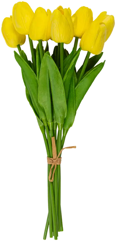 Ei merkkiä 黄色郁金香花束10支