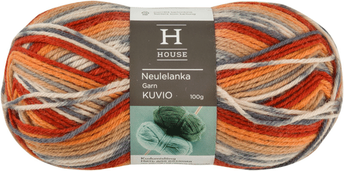 House 编织纱线 Kuvio 100 g