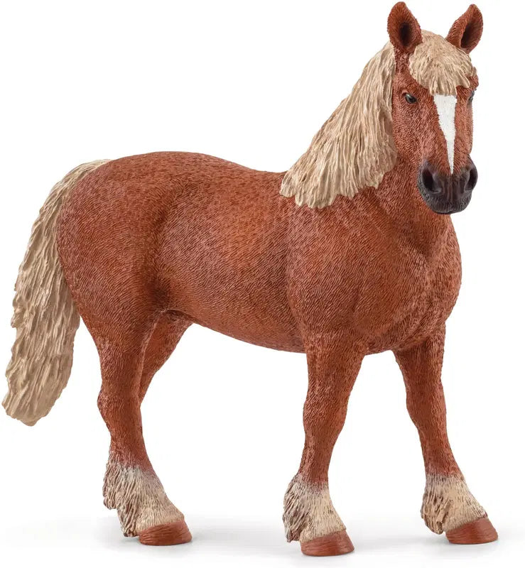 Schleich 比利时马|schleich® Belgian vetohevonen