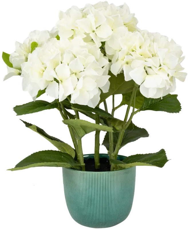 Ei merkkiä 人造绣球花(盆栽)