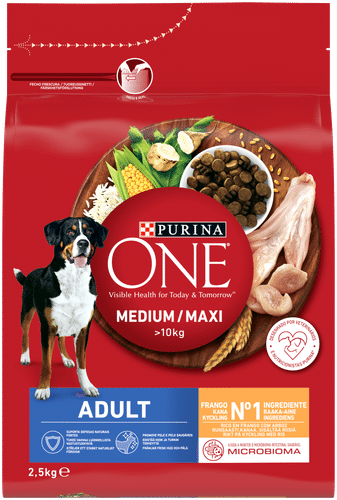 Purina One Adult Medium/Maxi Kanaa Koiran kuivaruoka 2,5kg