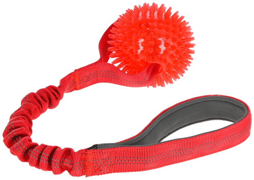 Kerbl vetolelu siilipallolla Ø 9 cm