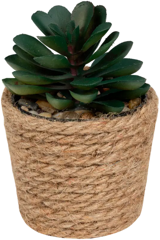 Ei merkkiä 人造植物(黄麻盆装)A 9,5cm