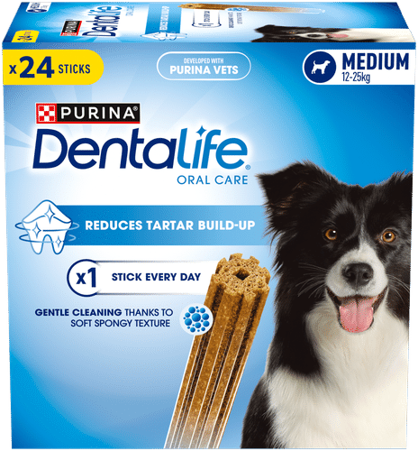DentaLife 普瑞纳 Dentalife 552g 中型犬大包装多件装