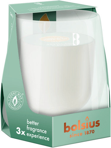 Bolsius – CleanLight 入门套装 – 支架和补充装,香型香草与零陵香豆|Bolsius – CleanLight-aloituspakkaus – pidike ja täyttöpakkaus, tuoksuna Vanilla & Tonka Bean