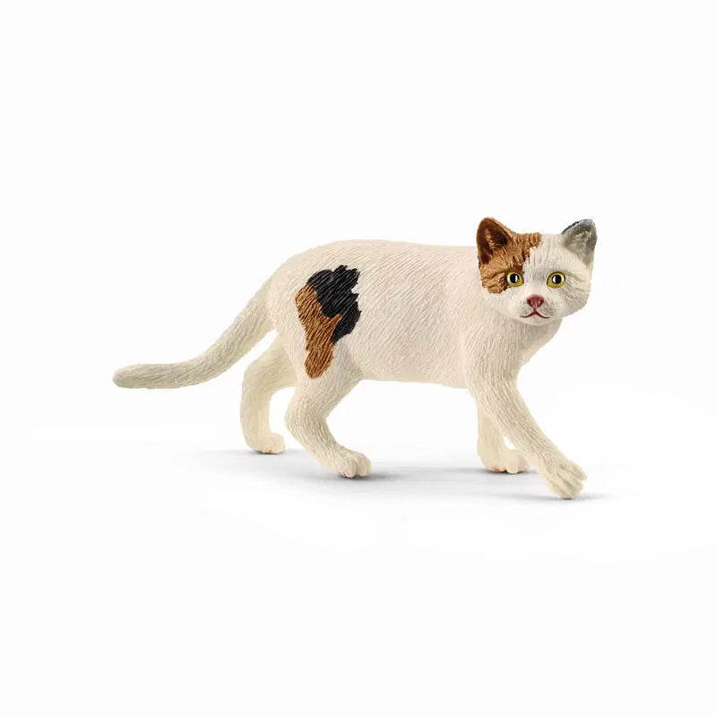 Schleich 美国短毛猫|schleich® Amerikkalainen lyhytkarvainen kissa