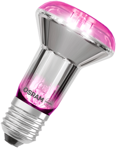 OSRAM LED植物灯 Star Grow Lamp R63 7.5W 140lm R27