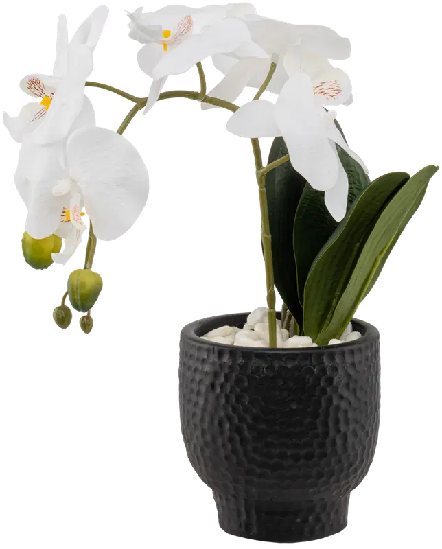 Ei merkkiä 人造兰花(盆栽)