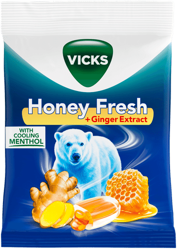 Vicks 蜂蜜鲜姜润喉糖 72g