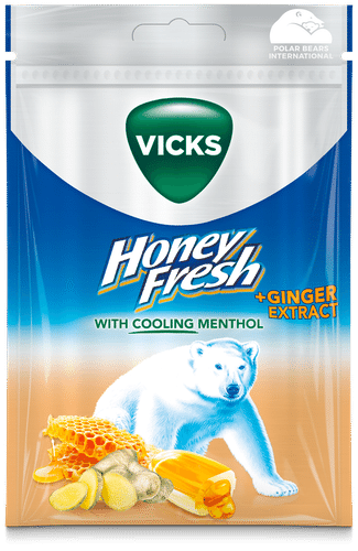 Vicks 蜂蜜鲜姜润喉糖 72g|Vicks Honey Fresh Ginger kurkkupastilli 72g