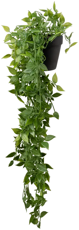 Ei merkkiä 人造垂吊植物(盆栽)