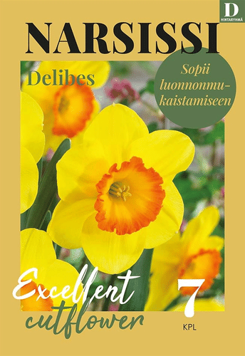 水仙花 Delibes 12/14 7kpl