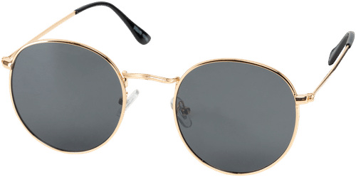 Eyeguard 中性经典太阳镜