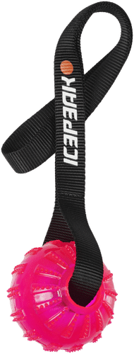 Icepeak Pet geelipallo kädensijalla pinkki