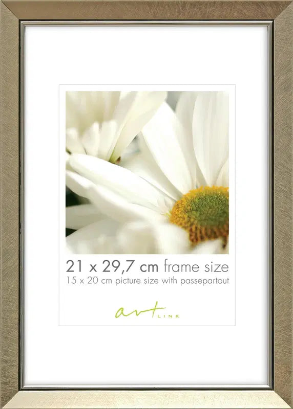 Art Link 相框 Elegant 21 x 29.7 厘米 香槟色