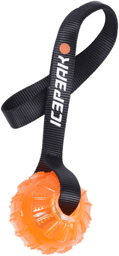 Icepeak Pet 橙色凝胶球