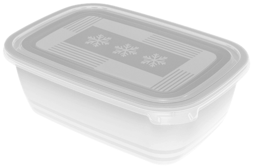 Rotho 密封盒套装 Freeze 2件装 1,9 l