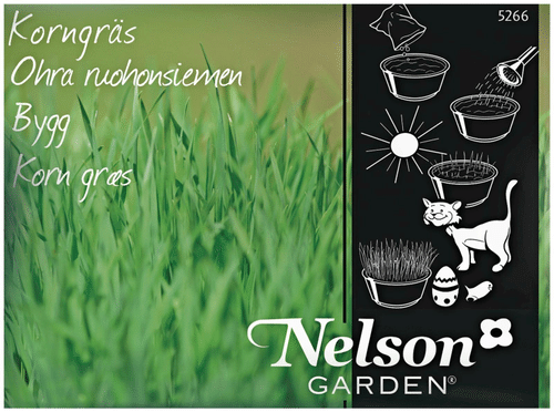 Nelson Garden 大麦草