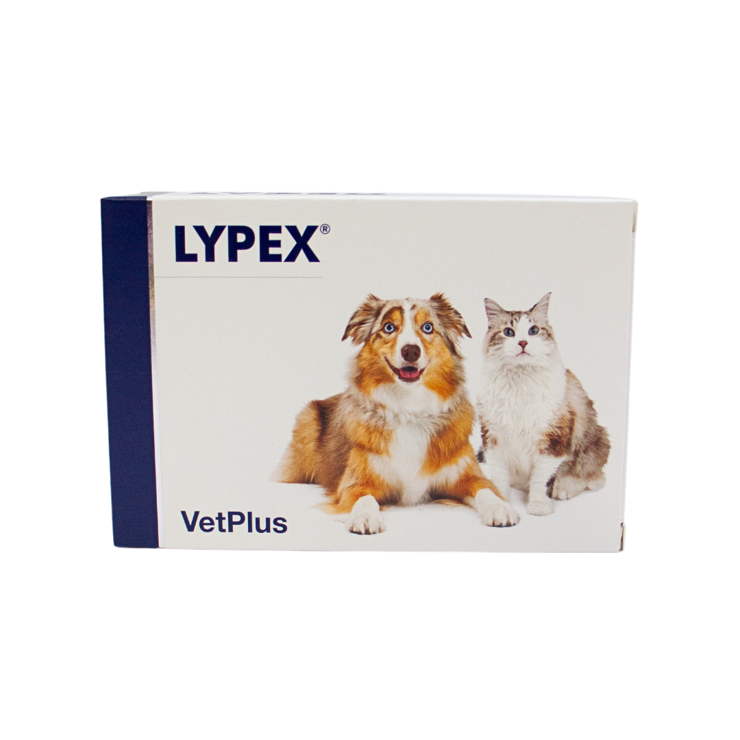 Lypex - 犬猫营养补充剂 60粒|Lypex - Täydennysrehuvalmiste koirille ja kissoille 60 kaps.