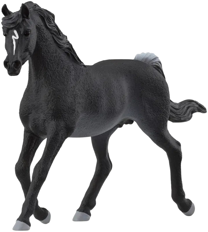 Schleich 阿拉伯马｜schleich® Arabianhevosori