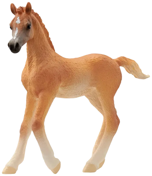 Schleich 阿拉伯马驹