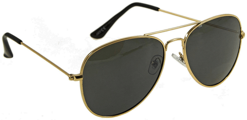 Eyeguard 中性飞行员太阳镜 金色/黑色