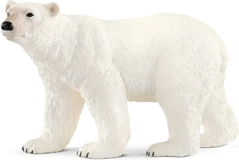 Schleich 北极熊｜schleich® Jääkarhu