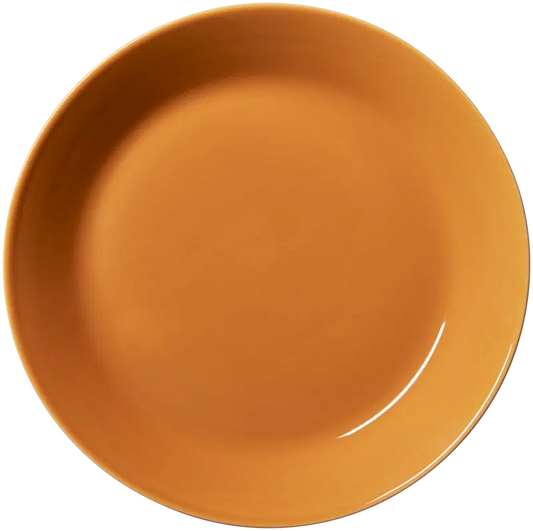 Iittala 主题琥珀色盘 21 cm