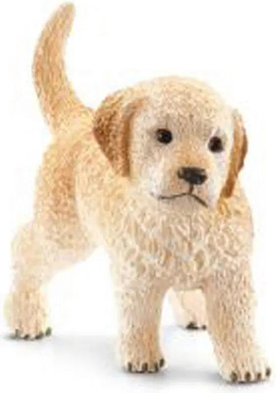 Schleich ® 金毛幼犬｜schleich® Kultaisenoutajan pentu