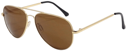 Eyeguard 中性飞行员太阳镜金色