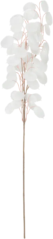 NNX 人造枝条 尤加利 白色 30 cm
