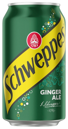 Schweppes 姜汁汽水罐装 0,33 L