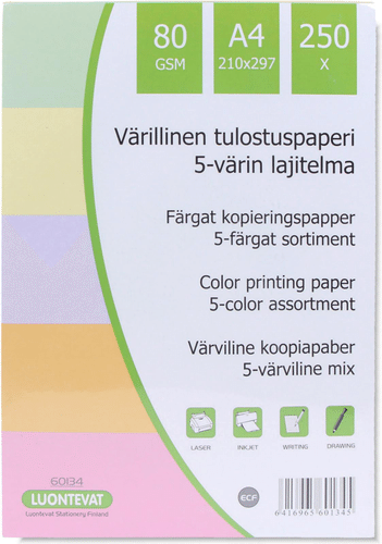 Teehoo värillinen tulostuspaperi A4 250kpl 5 väriä