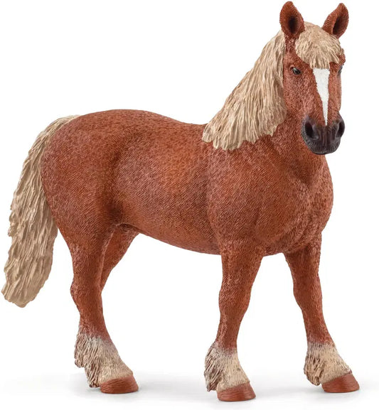 Schleich 比利时马｜schleich® Belgian vetohevonen
