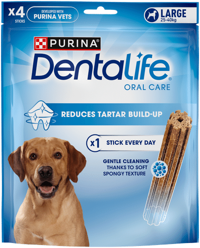 Purina Dentalife 142g large koiran purutikku
