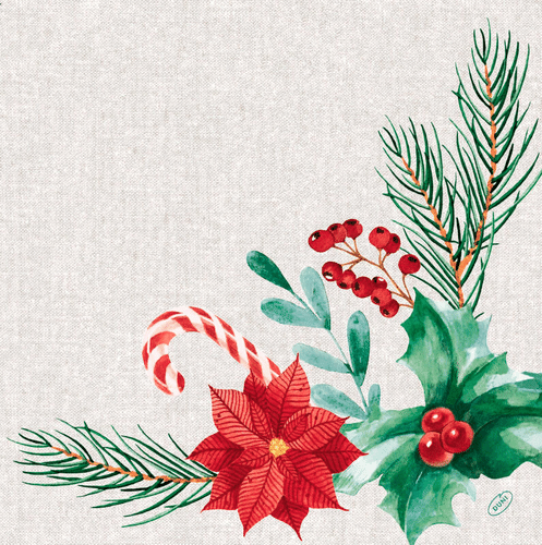 DUNI Bio Dunisoft®-lautasliina 40 x 40 cm Seasonal Delight, 12 kpl