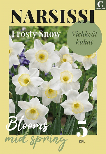 水仙花霜雪 12/14 5kpl