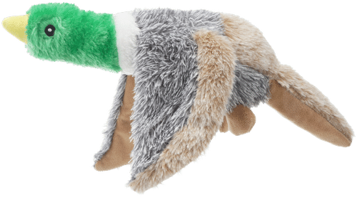 Icepeak Pet 玩具 Bird 彩色