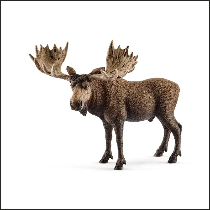 Schleich 驼鹿｜schleich® Uroshirvi