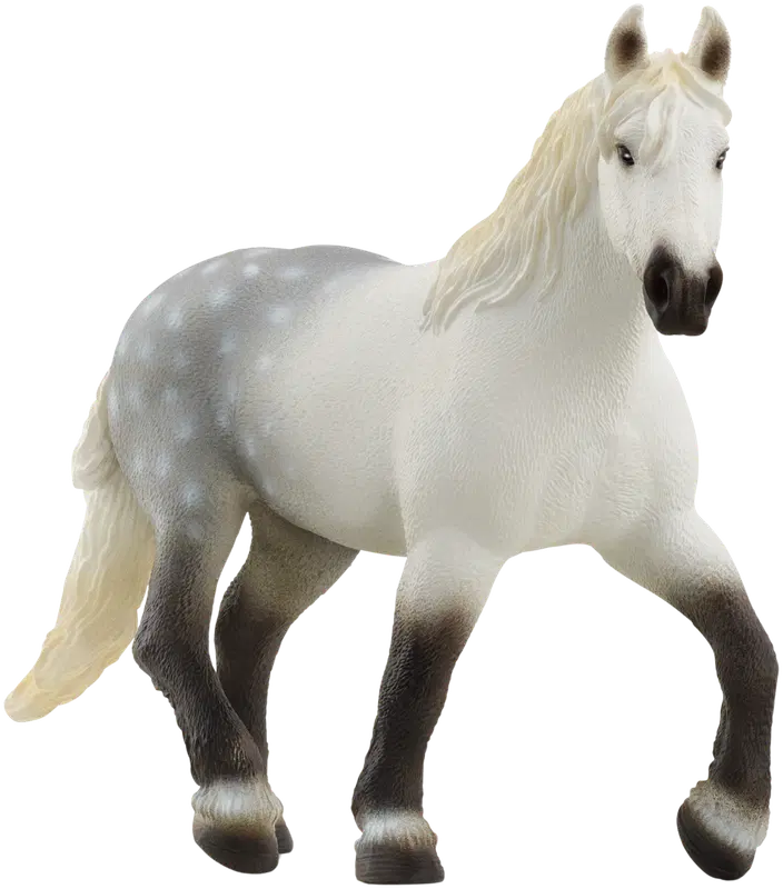 Schleich 佩尔什马母马｜schleich® perchenhevostamma
