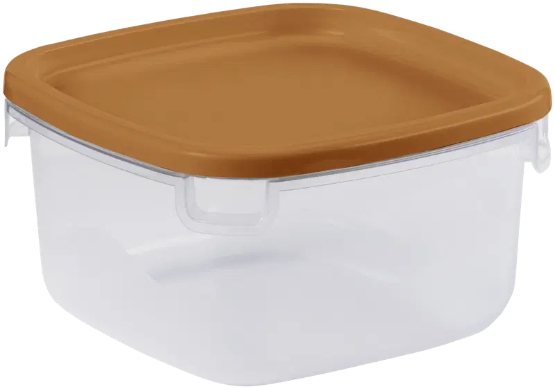 Smartstore ™ Easy 食物保鲜盒 1,75 L