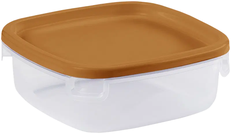 Smartstore ™ Easy 食物保鲜盒 1,1 L