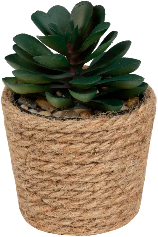 Ei merkkiä 人造植物（黄麻盆装）A 9,5cm